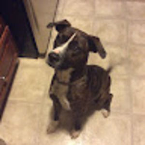 Meet your Posher, Alistair